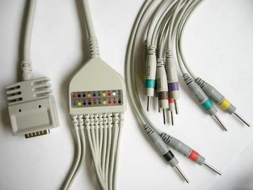China Chirurgischer Plastik-EKG EK-10 Maschinen-Kabel-Einzelstück Iec und AHA fournisseur