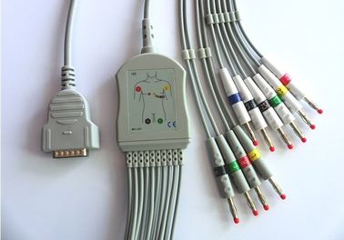 China GE, Marquette/Hellige ECG Stecker einteilige CER Zustimmung des Maschinen-Kabel-VS-2P fournisseur