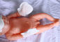 Vliesstoff-Wegwerfbaby-Produkt-neugeborene Baby-Handhandschuhe L s-Größe fournisseur